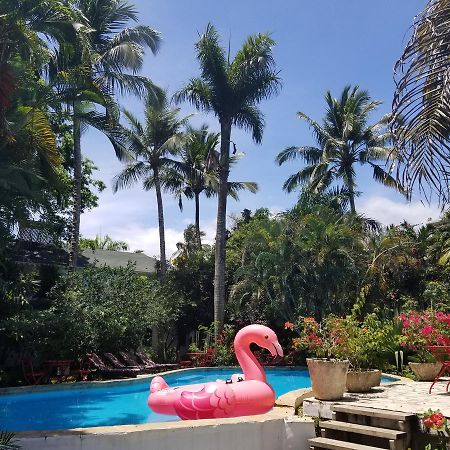 ホテルCabarete Surf Camp エクステリア 写真