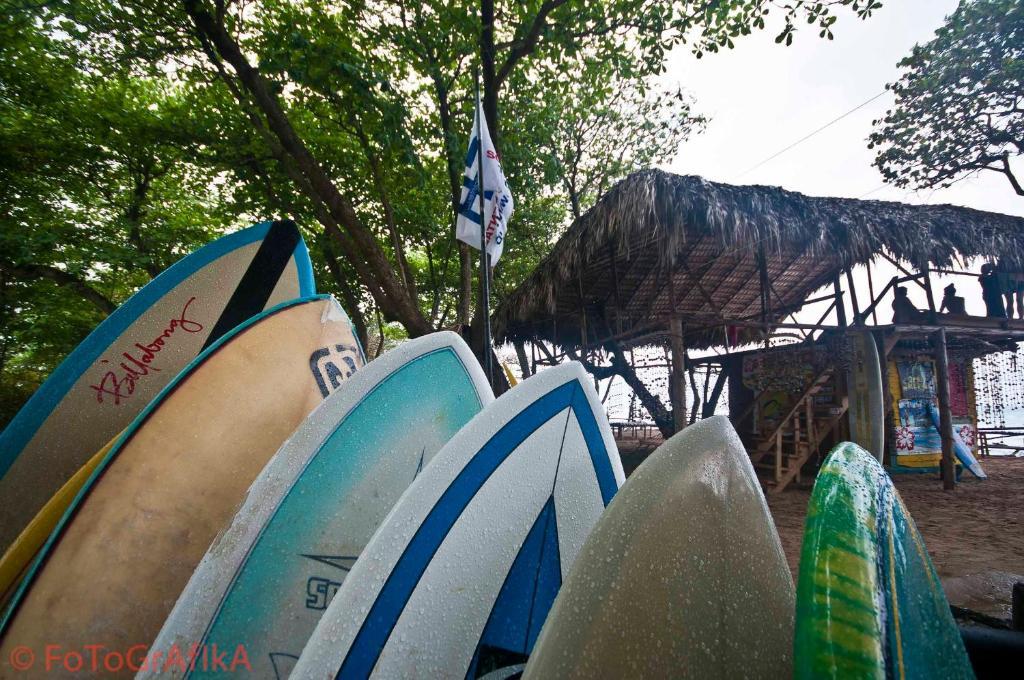 ホテルCabarete Surf Camp エクステリア 写真