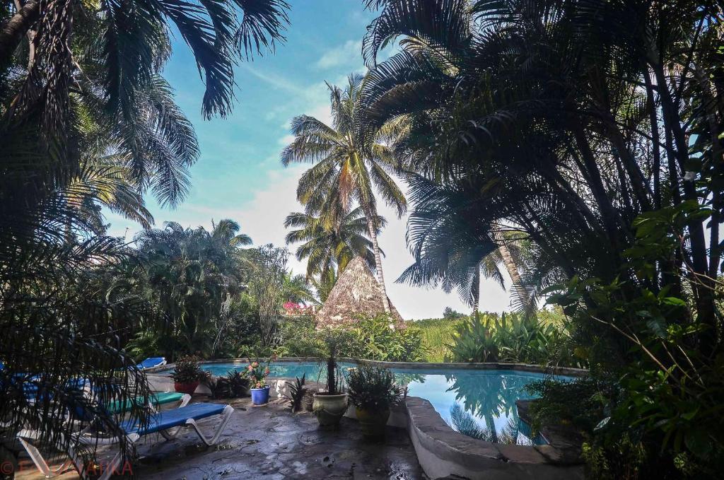 ホテルCabarete Surf Camp エクステリア 写真