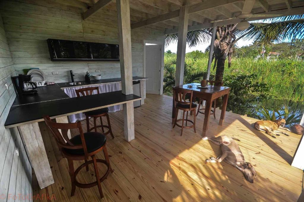 ホテルCabarete Surf Camp エクステリア 写真