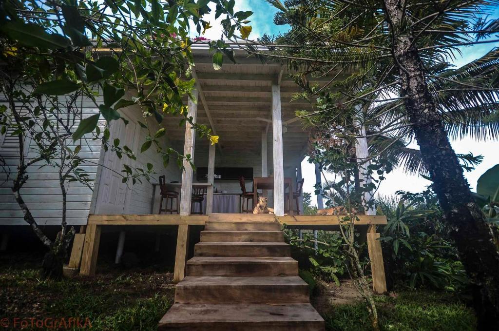 ホテルCabarete Surf Camp エクステリア 写真