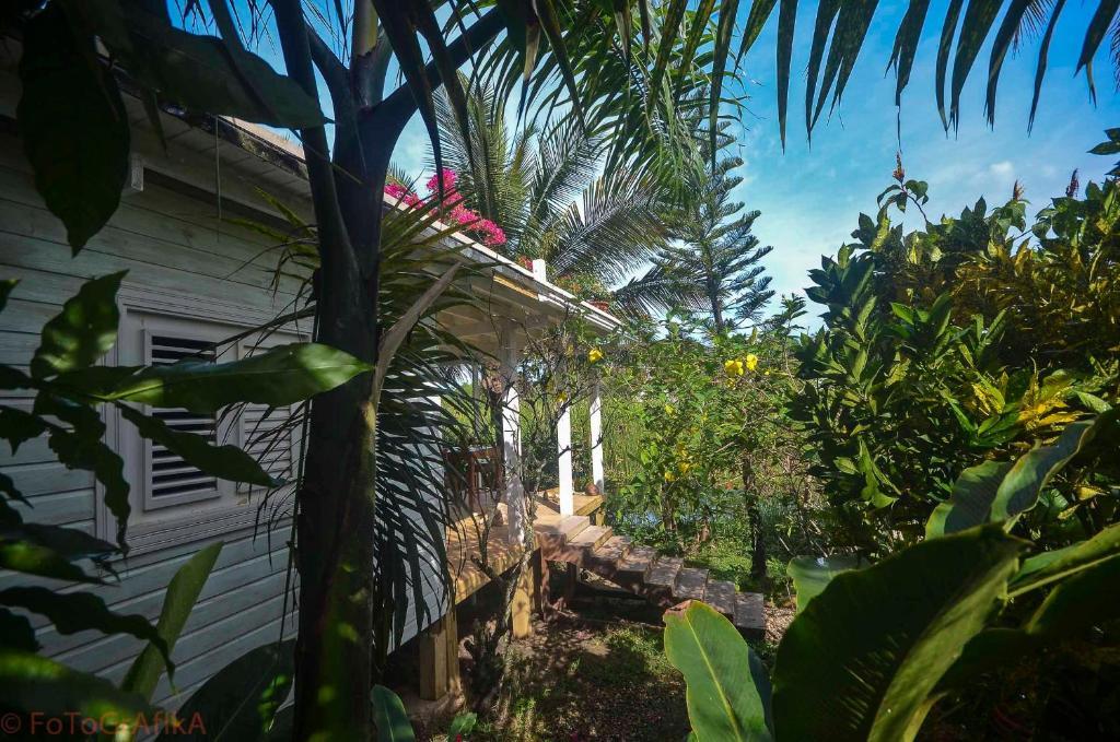 ホテルCabarete Surf Camp エクステリア 写真