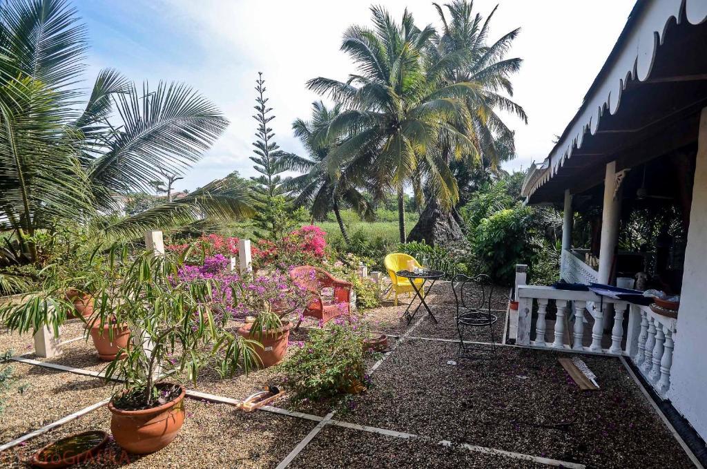 ホテルCabarete Surf Camp エクステリア 写真