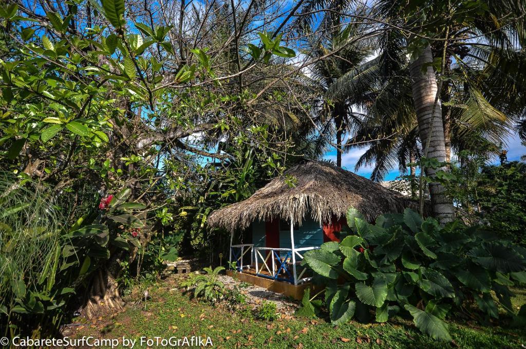 ホテルCabarete Surf Camp エクステリア 写真