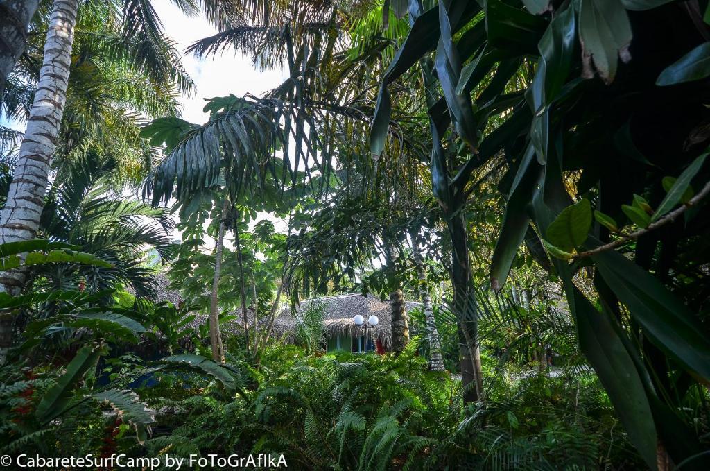 ホテルCabarete Surf Camp エクステリア 写真