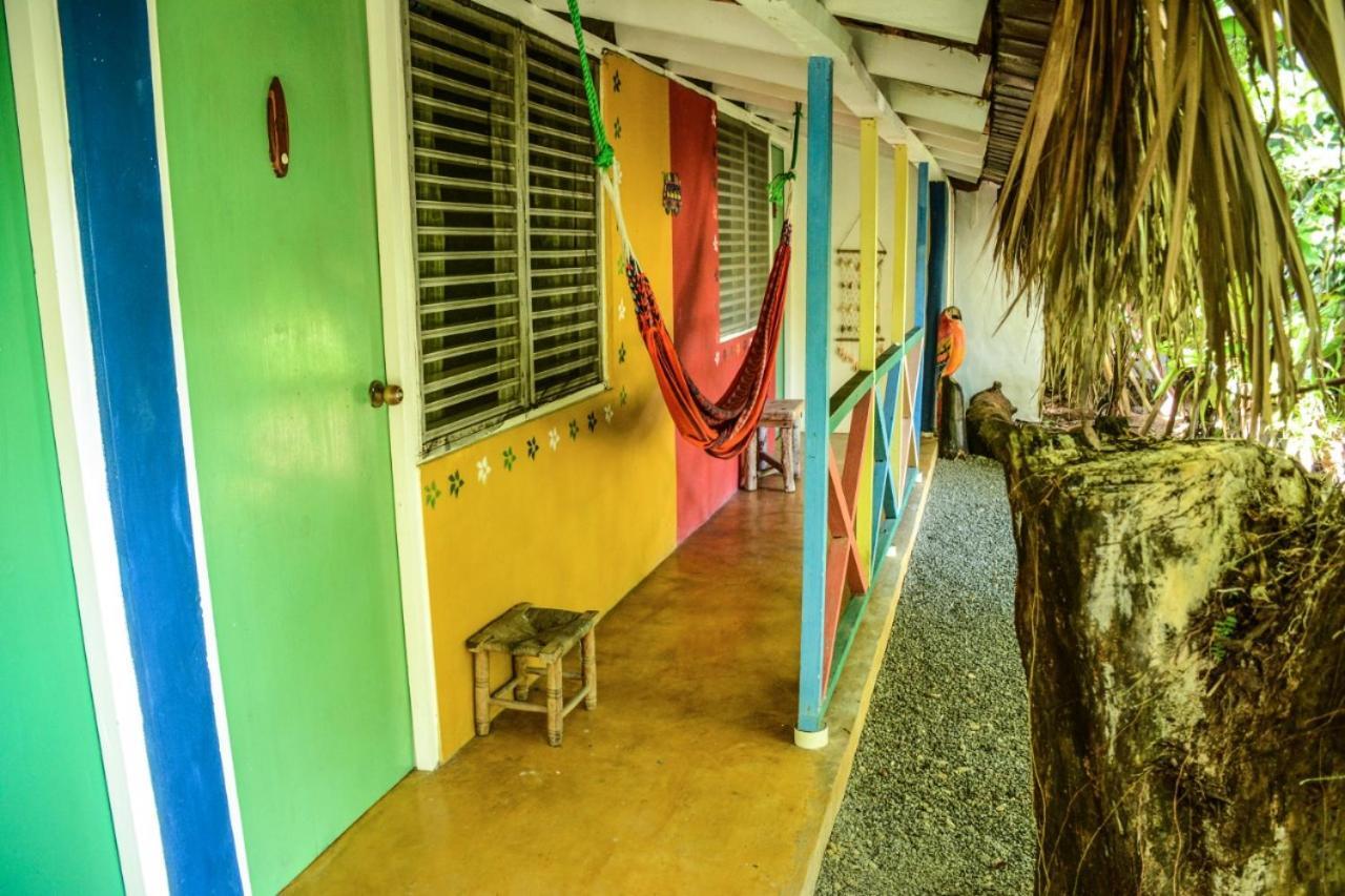 ホテルCabarete Surf Camp エクステリア 写真