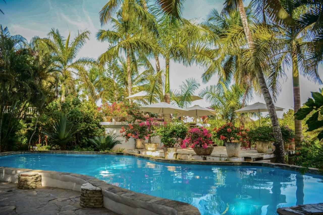ホテルCabarete Surf Camp エクステリア 写真
